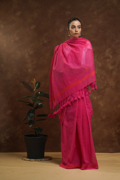 Woman wearing a megenta saree with a plant on a brown background