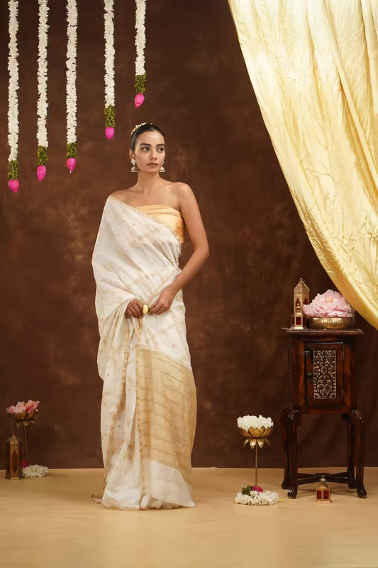 Shwet Women Hand Embroidered Chikankari Off-White Saree