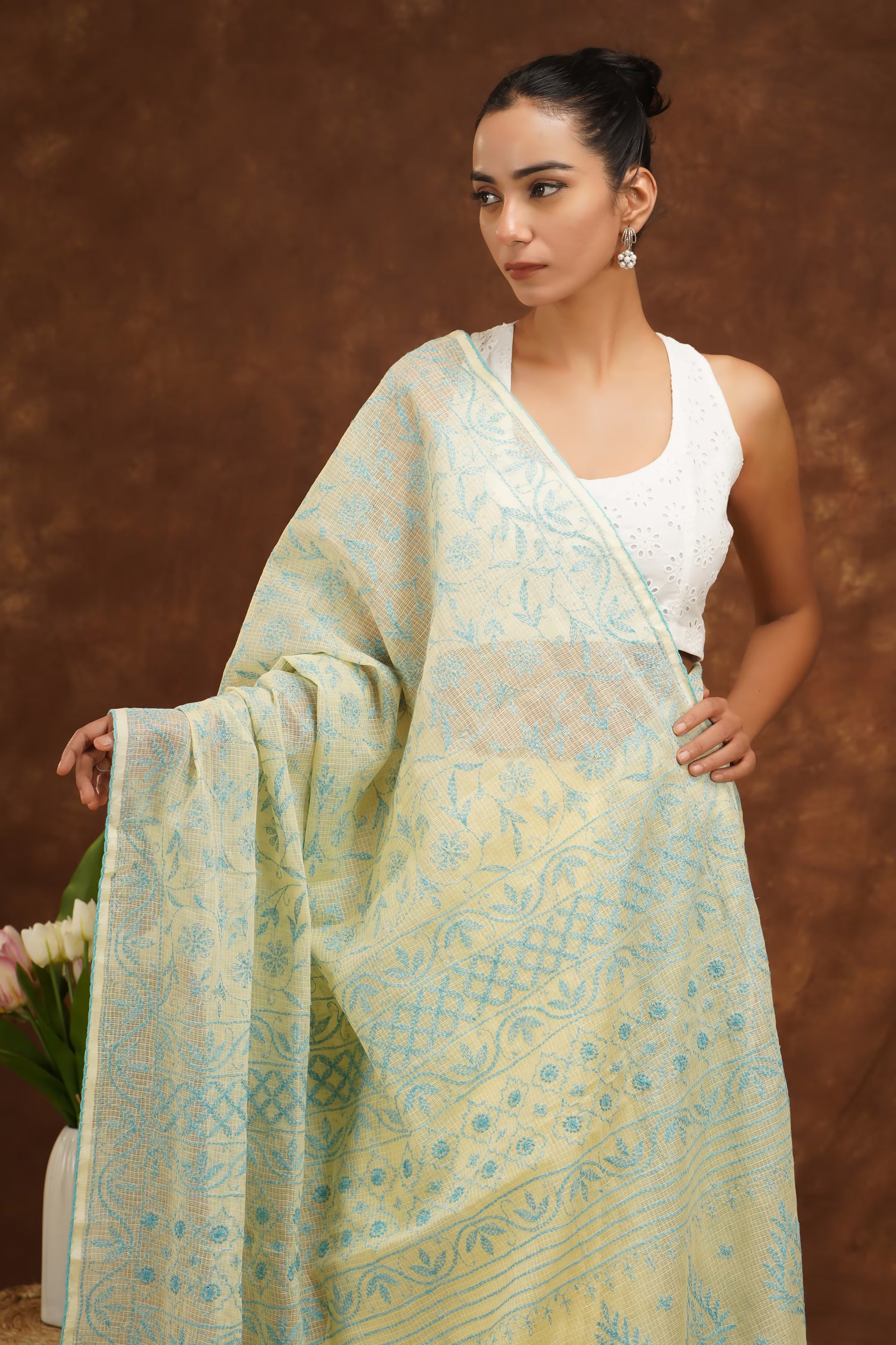 Woman wearing a light green and blue patterned saree with a white blouse against a brown background